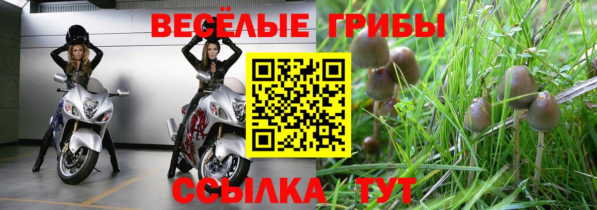 Галлюциногенные грибы Magic Shrooms Раменское