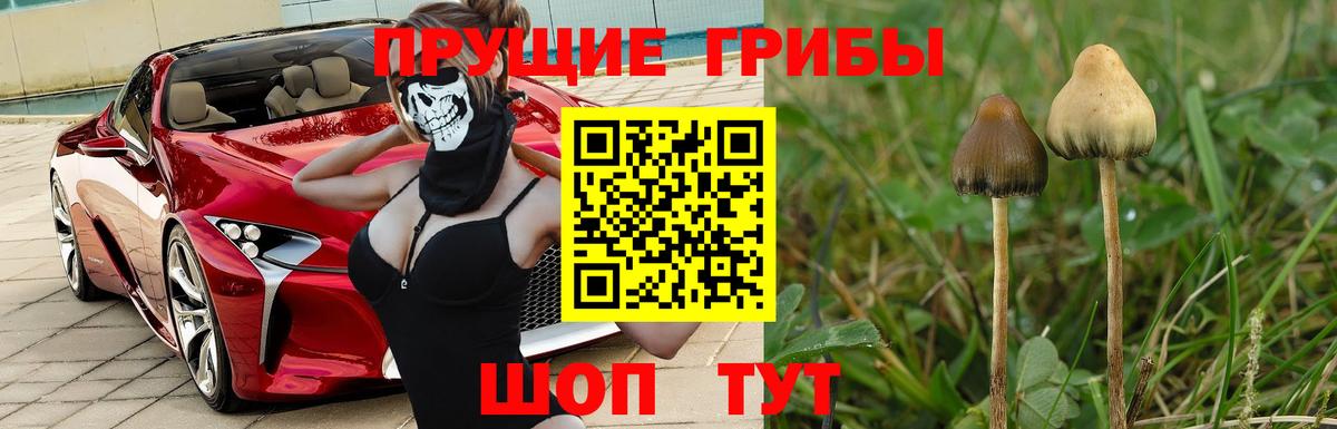 Раменское  Псилоцибиновые грибы Magic Shrooms  Вход с VPN 